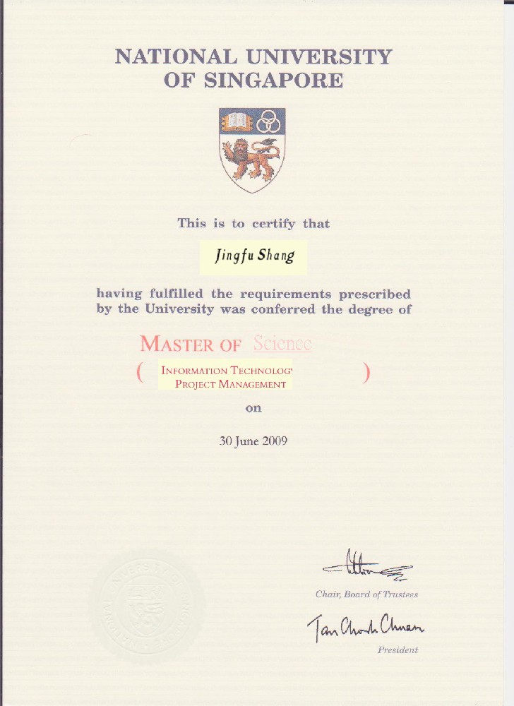 National University of Singapore Diploma